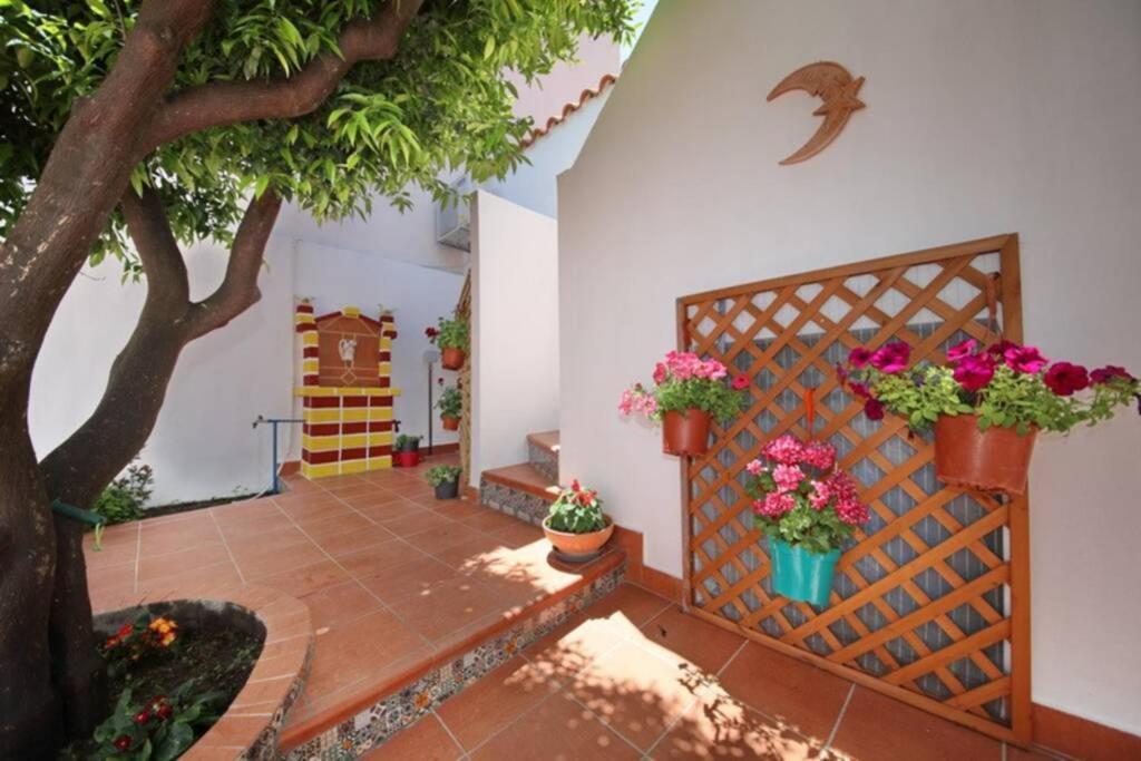 Philoxenia Guest House Skopelos Eksteriør billede